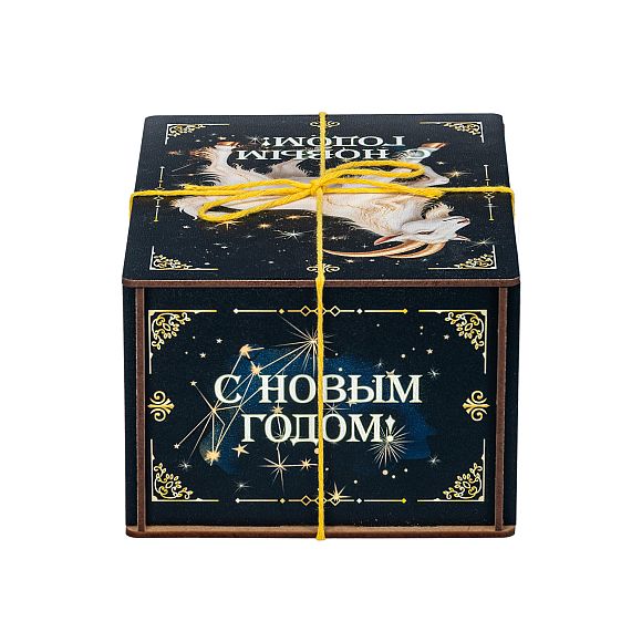 Сладкий новогодний подарок Новогодний подарок «Созвездие Козерога (Стандарт)»